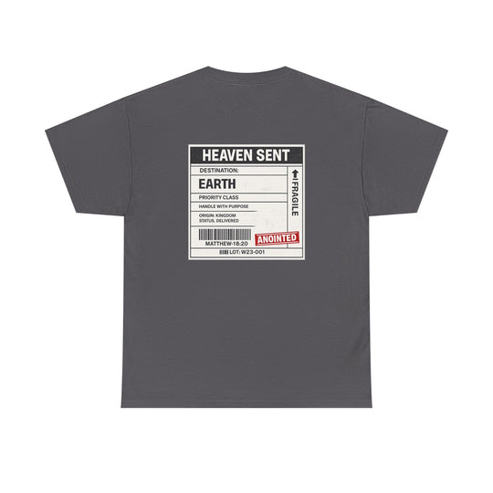 Charcoal gray T-shirt with back &