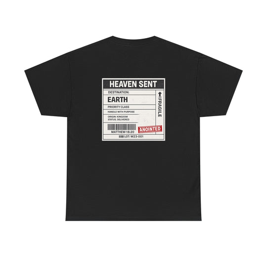 Black T-shirt with back &