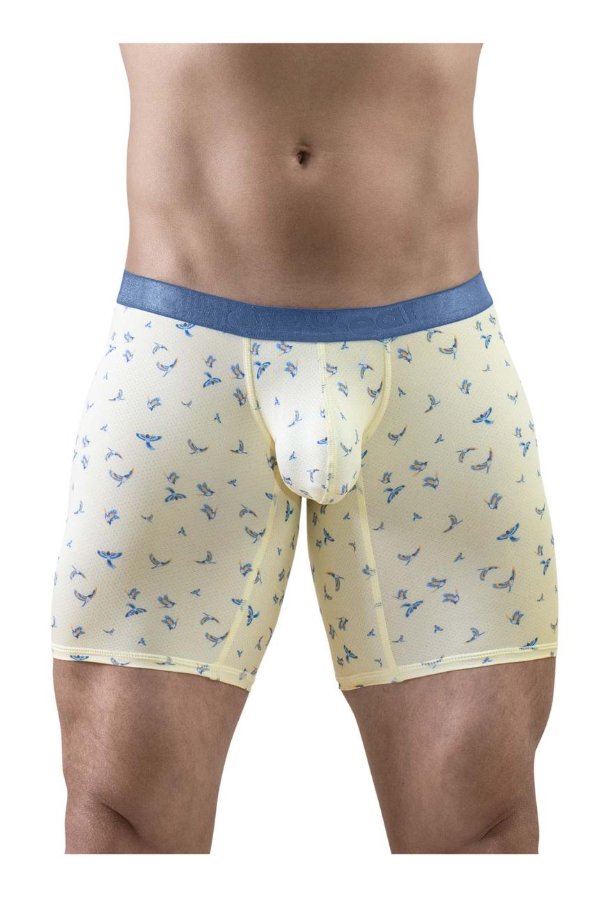 Vanilla-Birds boxer briefs with blue waistband and front pouch, straight hem.
