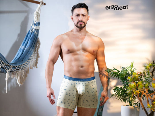 Mortal Under Gear boxer briefs in Vanilla-Birds print with blue waistband on model.
