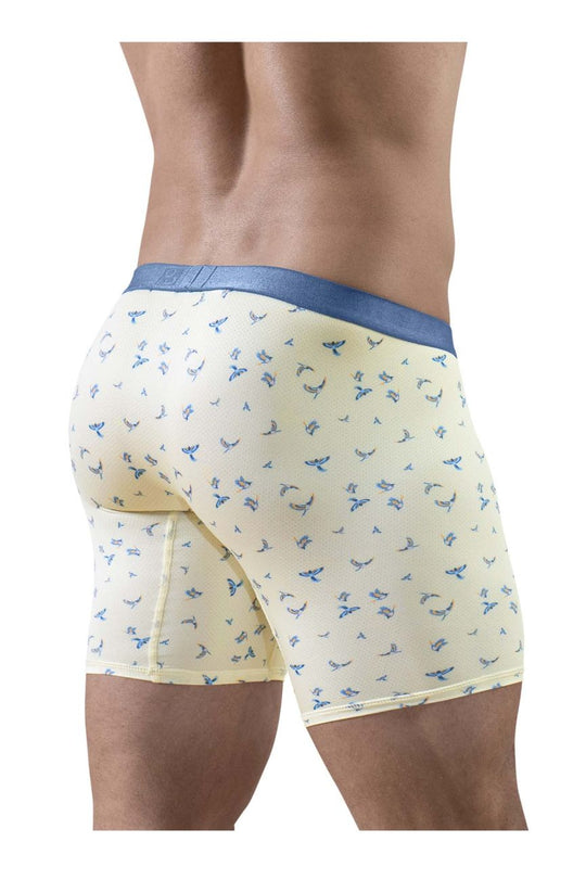Vanilla-Birds boxer briefs from back view, blue waistband and rear seam detail.