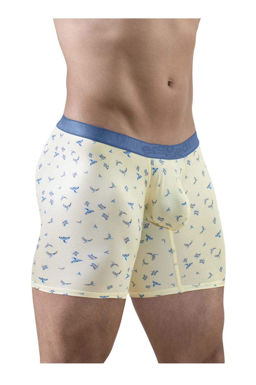 Vanilla-Birds boxer briefs front view with blue elastic waistband and pouch.