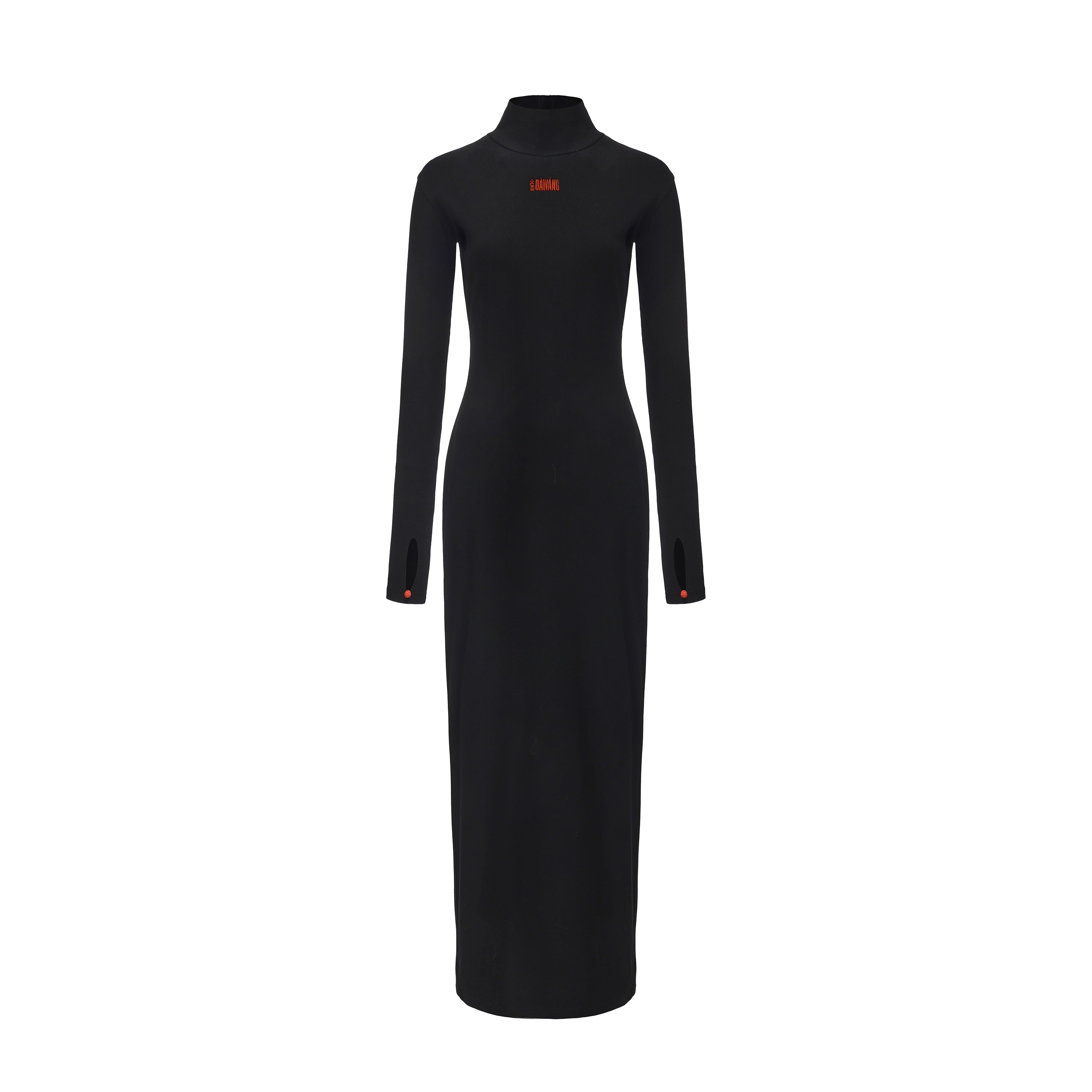Black maxi dress with high neck and long sleeves, fitted silhouette