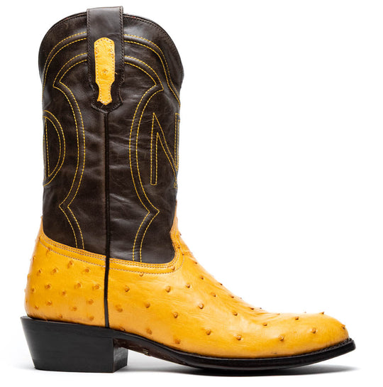 Stivale western Savannah Buttercup alto: punta gialla, gambale nero con ricami lineari