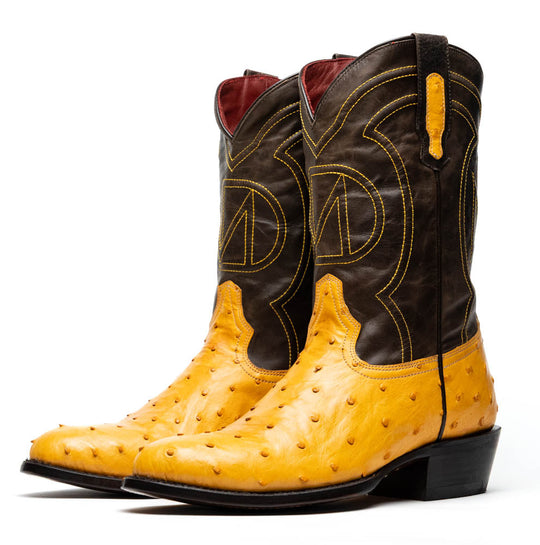 Coppia di stivali western Savannah Buttercup: giallo con inserti neri e tacco basso