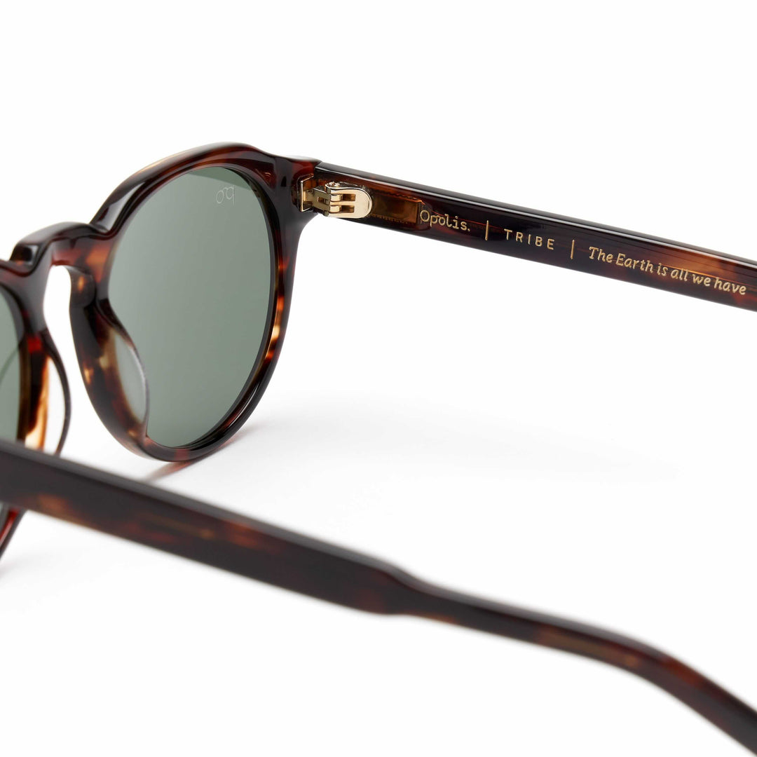 Opolisoptics Tribe sunglasses side detail, tortoiseshell frame